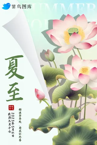 夏至节气莲花荷花荷叶绿色海报
