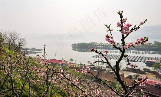 鸭绿江春色图片