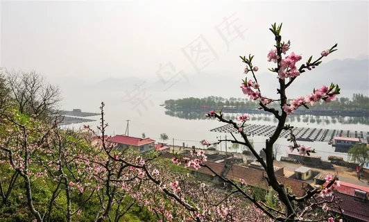 鸭绿江春色图片 鸭绿江春色图片