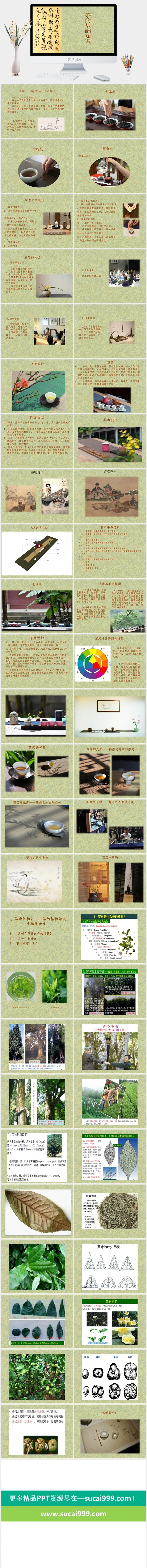 饮茶茶道茶文化饮料茶水PPT模板