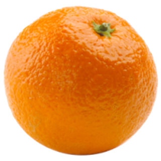 29_orange_PNG799