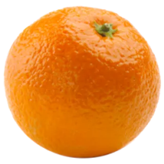 29_orange_PNG799