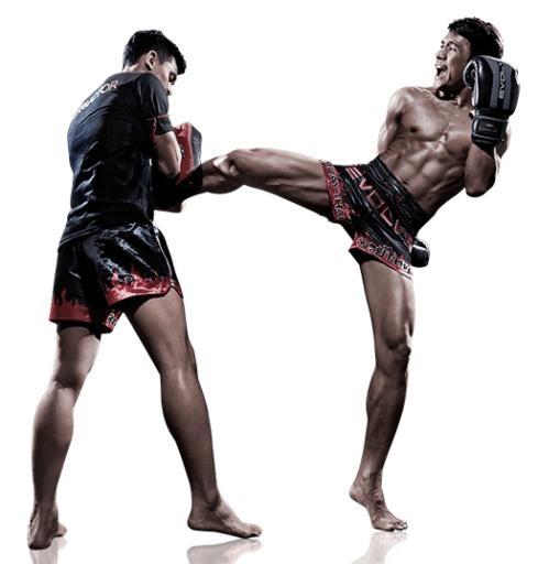 泰拳 PNG免抠(534x537)