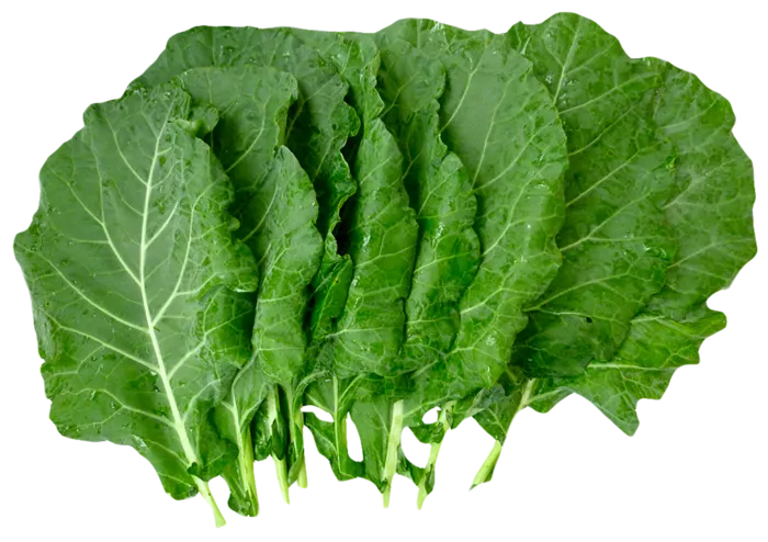 大叶菜蔬菜