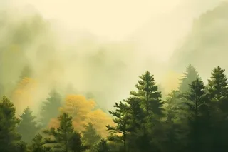 丛林树木黄色意境背景