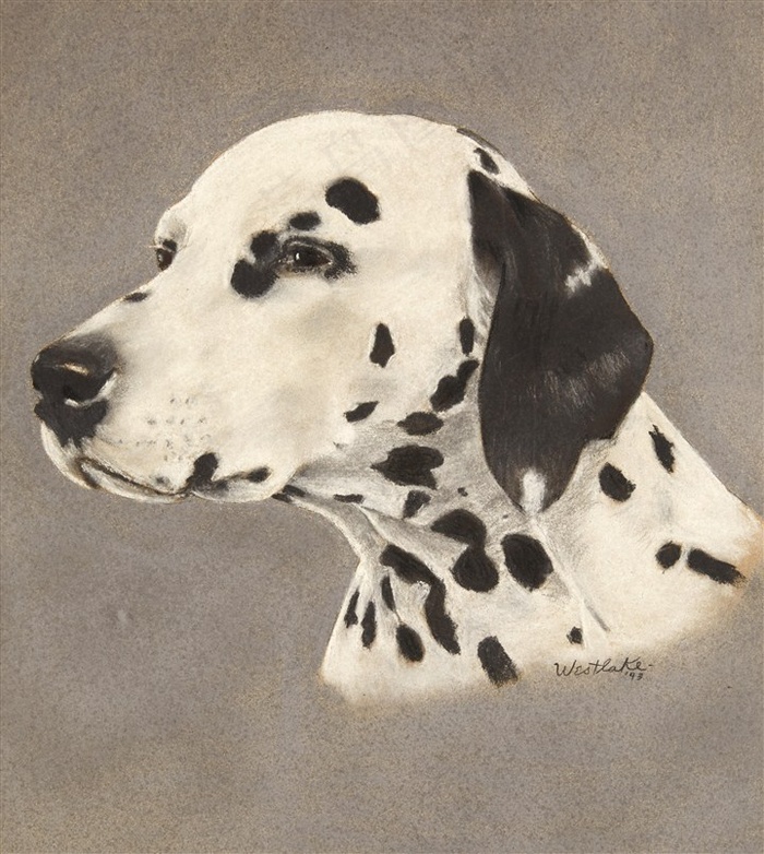 斑点狗宠物油画