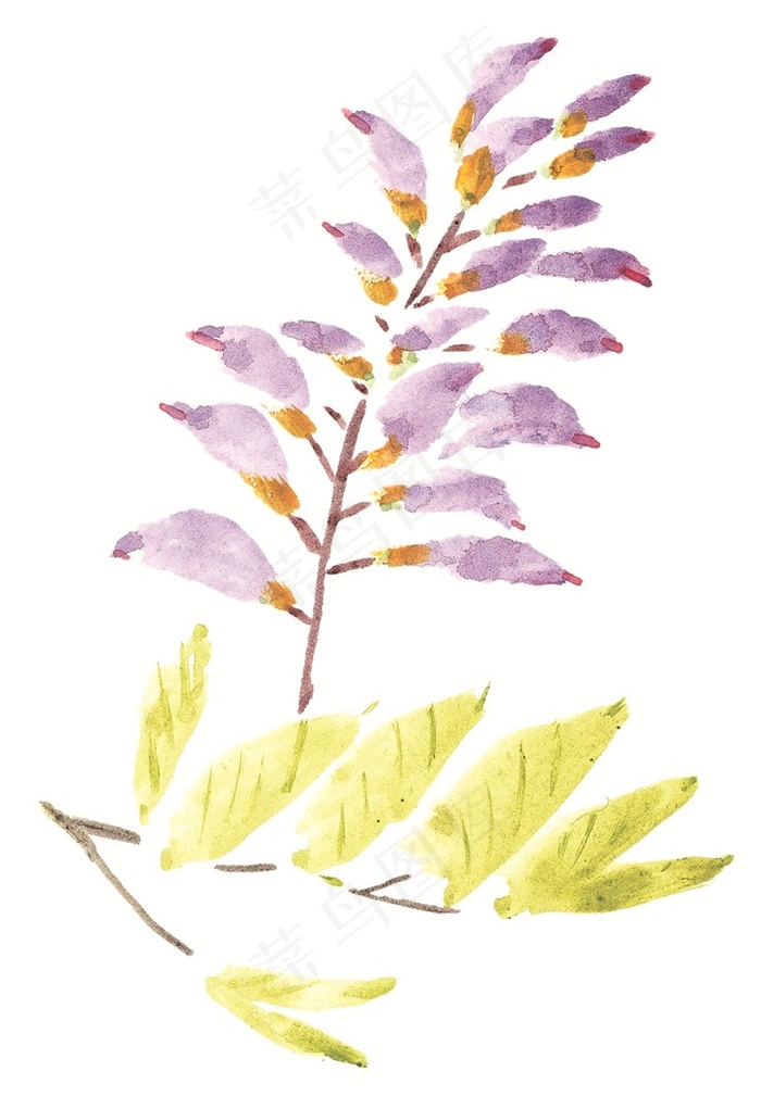 花卉美图图片素材