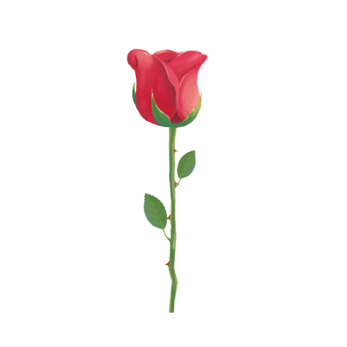 鲜花玫瑰免扣素材