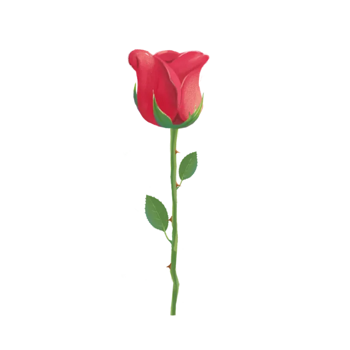 鲜花玫瑰免扣素材