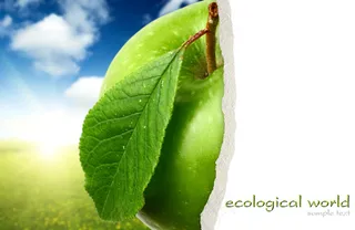 苹果背景撕裂纸张图片