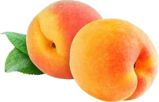 两个杏子 PNG免抠