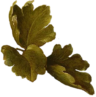 复古油画质感宫廷花卉植物花朵鲜花拼贴图案PNG免抠图片设计素材