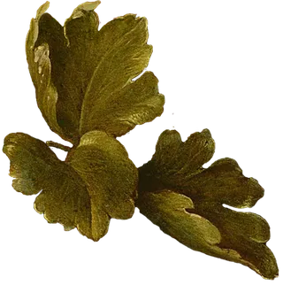 复古油画质感宫廷花卉植物花朵鲜花拼贴图案PNG免抠图片设计素材