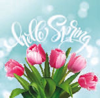 欢迎春天到花开风景