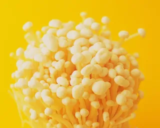 火锅菜品配菜金针菇蘑菇杂菌