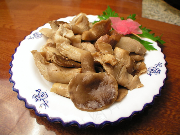  鲍鱼菇   