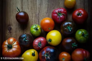 彩色西红柿摄影素材