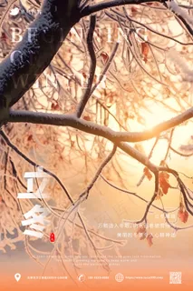 温馨 午后阳光   唯美 立冬海报