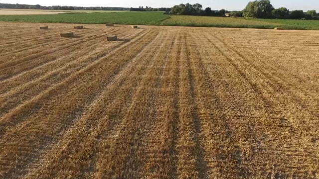 干草, 字段, 收成, 农业, 农村