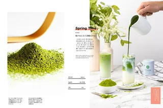 文艺小清新海报模板有机抹茶日系排版07