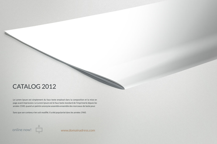 产品画册提案效果样机模板