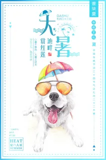 传统节日大暑海报