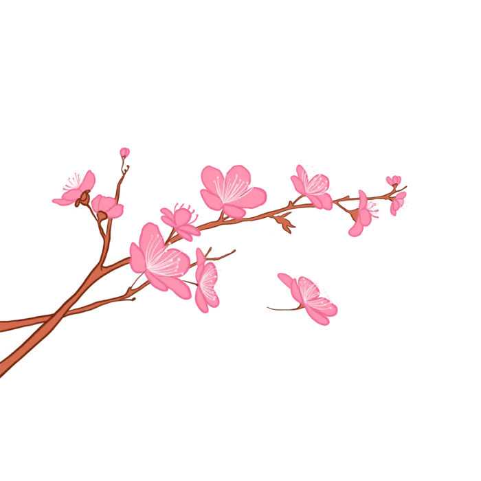 春天浪漫粉红色樱花手绘樱花梅花桃花花朵图片PNG免扣素材