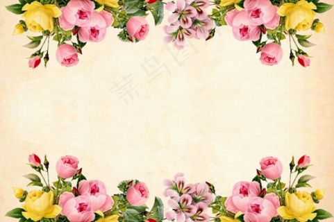 素雅鲜花背景图片