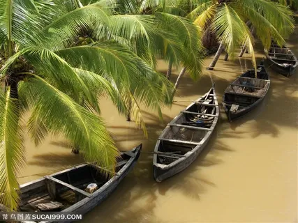 东南亚风情--河里的小船图片下载