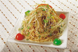 0806L-139 椿芽芸丝