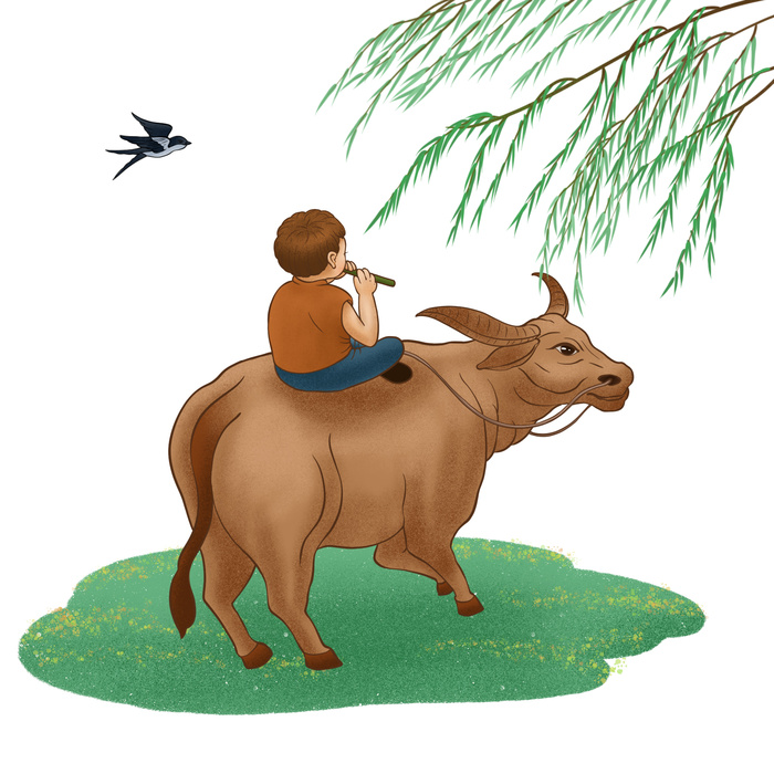 清明清明节牧童骑牛吹笛