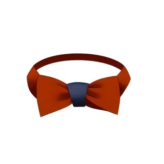 领带蝴蝶结服饰免抠