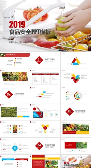 食品安全健康PPT模板ppt模版预览图