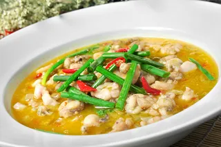 XCXC1944活水牛蛙