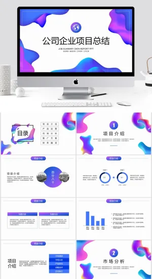 公司企业项目总结PPT预览图