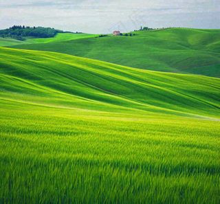 春天连绵山脉绿色草地郊游，清新惊蛰春分摄影图