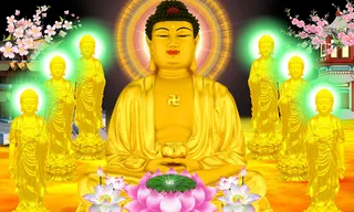 佛光佛法荷花背景墙