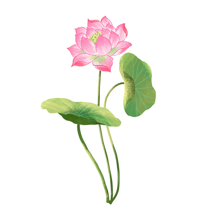 国潮中国风手绘荷花莲花荷叶莲藕植物花卉装饰插画PSD设计素材psd模版下载