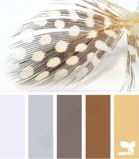 家禽鸟类配色色卡色彩搭配