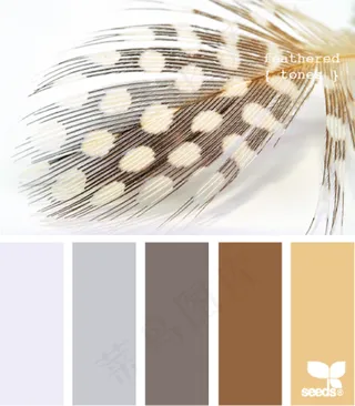 家禽鸟类配色色卡色彩搭配