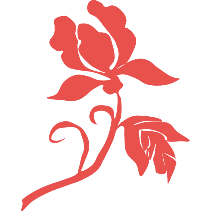 免扣红花装饰