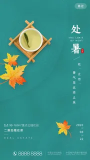 蓝绿色清新处暑节气手机启动引导页