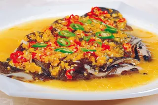 CXC01604黄椒深海鱼头面 3