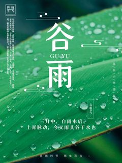 谷雨海报二十四节气谷雨广告