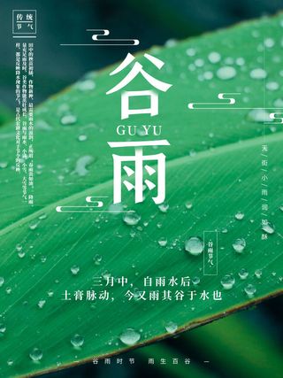 谷雨海报二十四节气谷雨广告