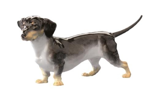 腊肠犬 PNG免抠(536x315)