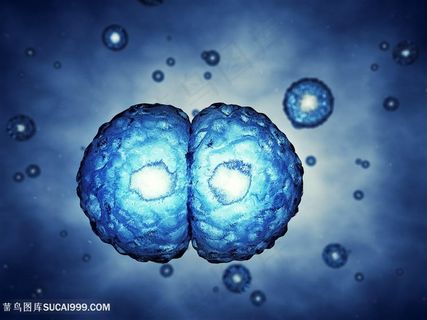 人体细胞细菌生物高清