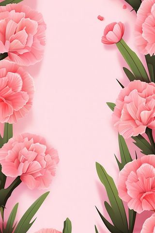 简约粉色康乃馨插画背景