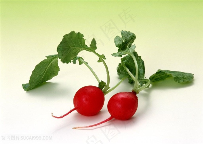 两个红色樱桃萝卜蔬菜高清图