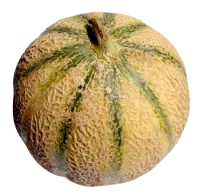45_melon_PNG14373